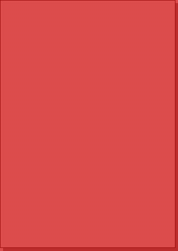 MT312_210x297_red